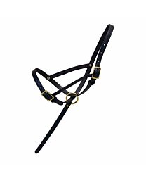 Leather Foal Slip with Grab Strap