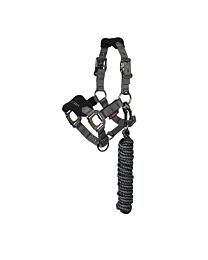 LeMieux Mini Vogue Halter & Lead