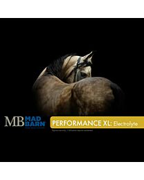 Mad Barn Performance XL: Electrolyte - 20 kg