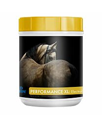 Mad Barn Performance XL Electrolyte - 1 kg