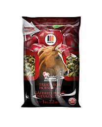 Martin Mills Special Moments Horse Treats - 1 kg