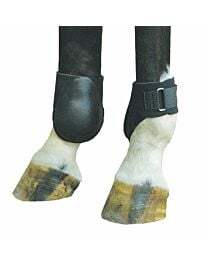 Neoprene Ankle Boots