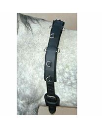 Neoprene Padded Lunging Surcingle