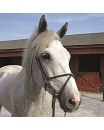 Nunn Finer Rubber Figure 8 Noseband
