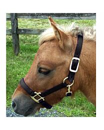 Nylon Mini Halter