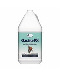 Omega Alpha Gastra-FX - 4 L