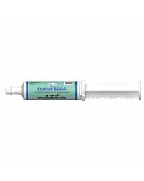 Omega Alpha Equisel-BCAA Paste -80 cc