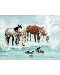 Otter House "Frosted Pond" Holiday Greeting Cards