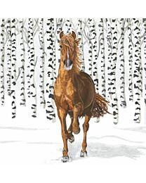 Paperproducts Designs "Wilderness Horse" Beverage Napkin