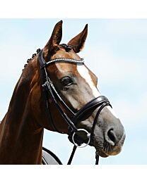 Passier Atlas Snaffle Bridle