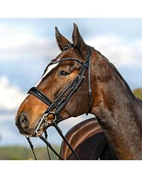 Passier Moonlight Double Bridle