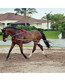 Pessoa Lunging System