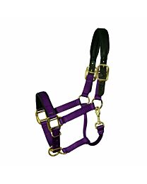 Premium Padded Breakaway Halter