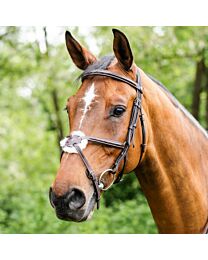 Prestige Fancy Stitch Figure-8 Bridle