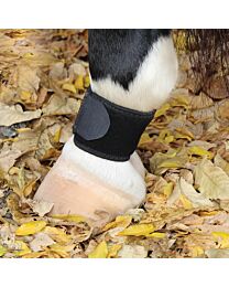 Professional's Choice VenTECH Pastern Wraps