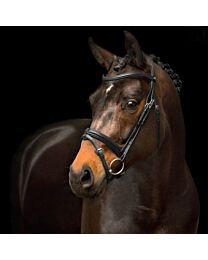 Schockemohle Sports Tokyo Select Anatomic Bridle
