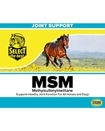 Select the Best MSM Powder - 4 lb