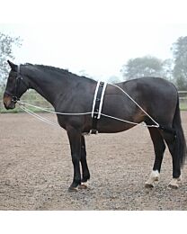 Shires Equestrian Lunging Aid