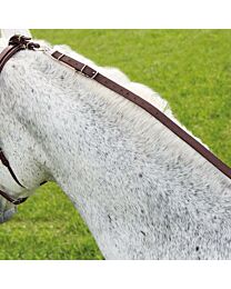 Shires Equestrian Nylon Daisy Rein