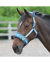 Shires Equestrian Nylon Web Lunging Cavesson