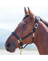 Shires Equestrian Topaz Nylon Breakaway Halter