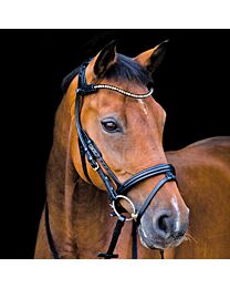 Stubben Freedom Bridle with Magictack