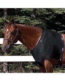 Toklat Jammies Shoulder Guard