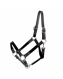Tory Leather Web & Leather Halter