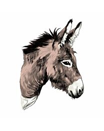 Vinyl "Donkey" Sticker