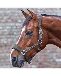Waldhausen Alcantara Halter