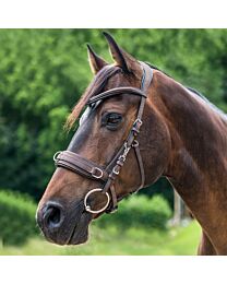 Waldhausen Anatomic Lunging Cavesson