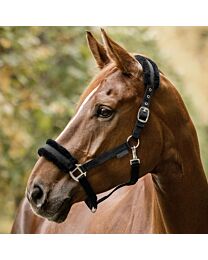 Waldhausen First Halter