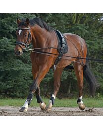 Waldhausen Lunging System