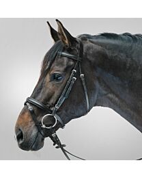 Waldhausen Lifestyle Padded Bridle
