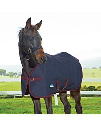 WeatherBeeta 1200D Foal Standard Neck 220g Blanket