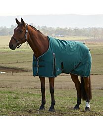 WeatherBeeta ComFiTec Classic Standard Neck 0g Turnout Sheet