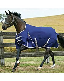 Weatherbeeta ComFiTec Essential Standard Neck 220g Medium Turnout Blanket