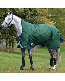 WeatherBeeta ComFiTec Plus Dynamic II High Neck 220g Medium Turnout Blanket