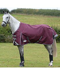 WeatherBeeta ComFiTec Plus Dynamic II Standard Neck 100g Medium-Lite Turnout Blanket