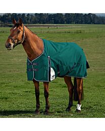 WeatherBeeta ComFiTec Plus Dynamic Standard Neck 0g Turnout Sheet
