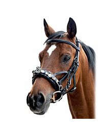 Waldhausen Leather Lungeing Cavesson