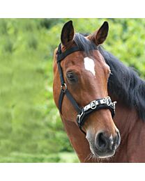 Waldhausen Nylon Lunging Cavesson