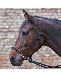 Waldhausen Knotted Halter with Reins