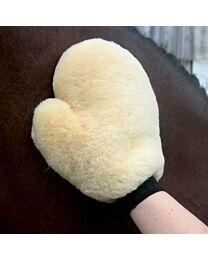 Waldhausen Lambskin Grooming Glove