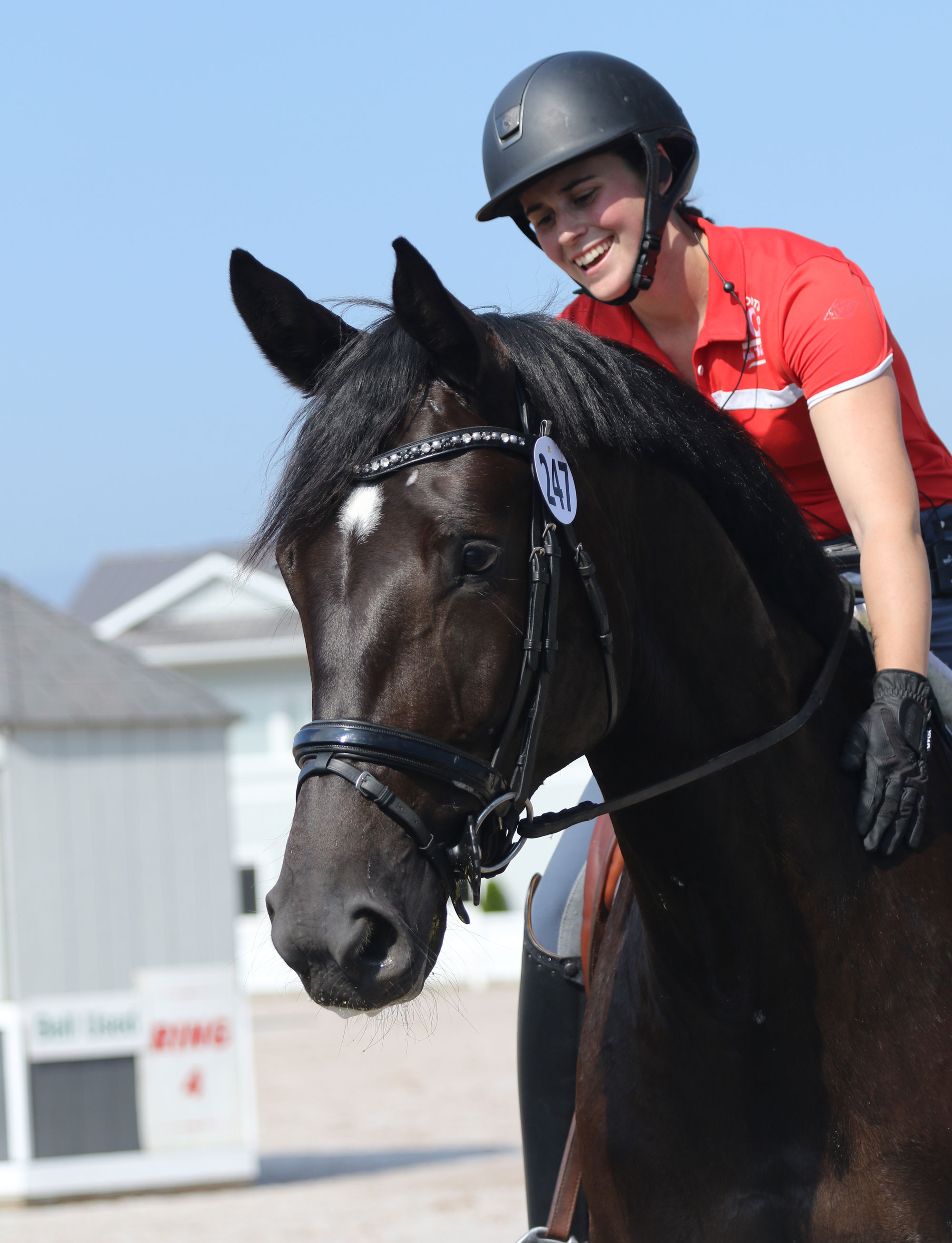 Why You Need to Wear a Helmet While Riding a Horse