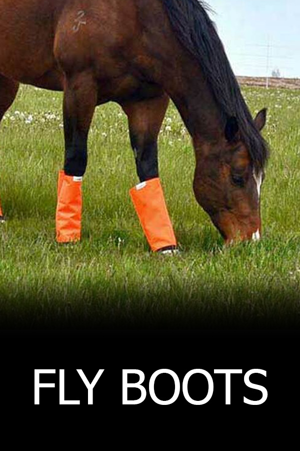 Shop Fly Boots at Bahr Saddlery