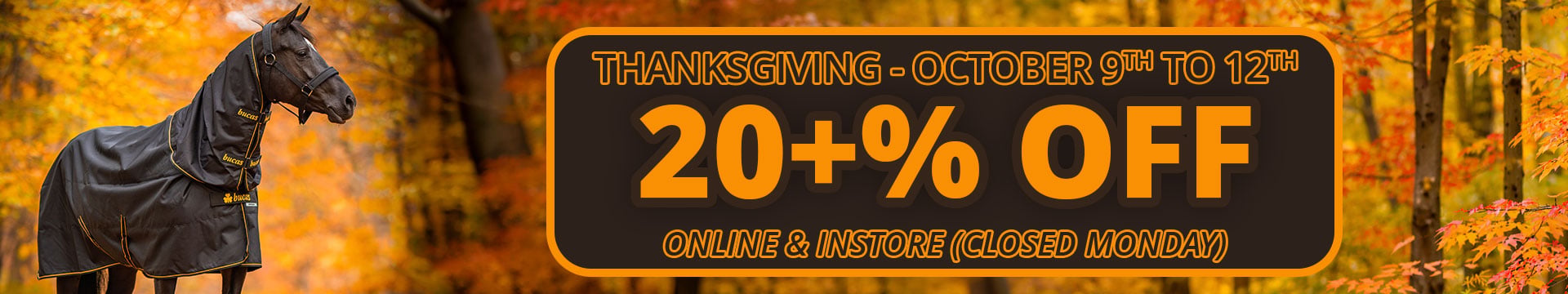 Sale Items 