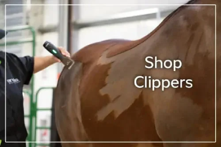 Shop Clipping Essentials