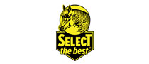 AL Select