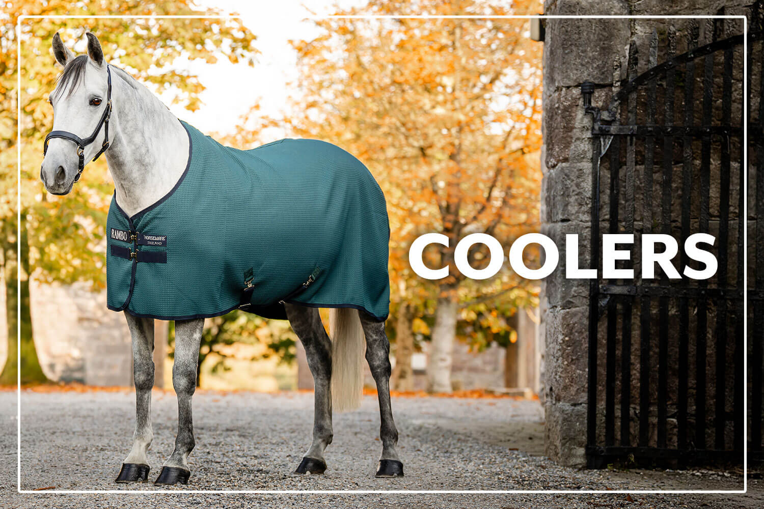 Shop Horse Coolers